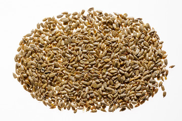 The kernel of sunflower seeds. Texture.