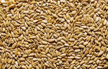 The kernel of sunflower seeds. Texture.