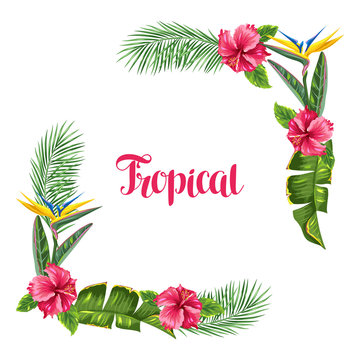 Frame with tropical leaves and flowers. Palms branches, bird of paradise flower, hibiscus