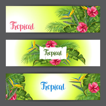 Banners with tropical leaves and flowers. Palms branches, bird of paradise flower, hibiscus
