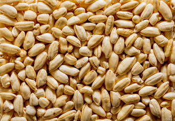 Rice Krispies. Texture.