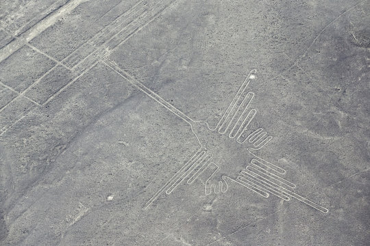 Peru, Nazca, Aerial view of geoglyphs of Nazca, The Hummingbird