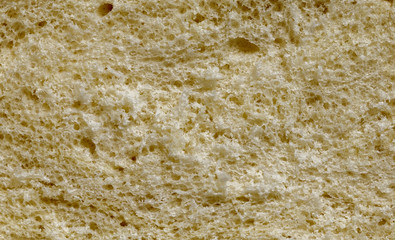 Wheat bread. Texture