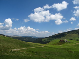 Fototapeta na wymiar Meadow and clouds in National Park Rodna, Romania