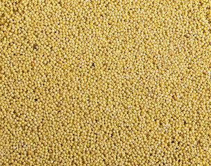Millet. Texture.