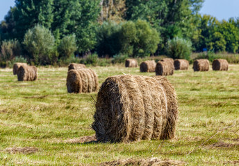 Haystack on the meadow.