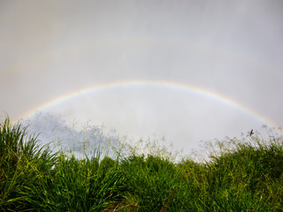 Naklejka premium Close view from one of the water falls in Cataratas del Iguazu park