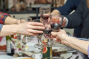  Family clinking glasses at festive table   
