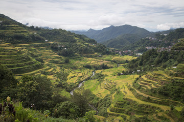 &ldquo;Stairway to heaven&rdquo;, Banaue rice terracces, Rice Terraces of the Philippine Cordilleras 
