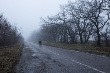 fog on a road