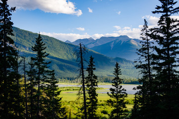 Mountain view through trees in Banff National Park, Alberta, Canada.
