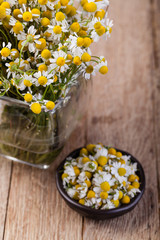 Medical Chamomile