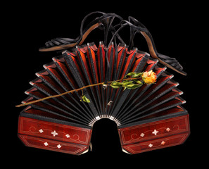 Bandoneon with tango shoes and a dry rose, isolated on black