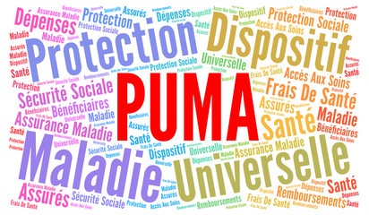 PUMA nuage de mots