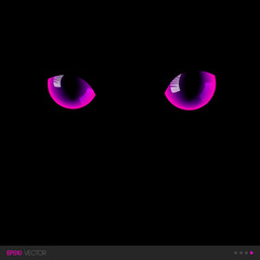 Black cat fantastic pink eyes in darkness. Vector illustration.