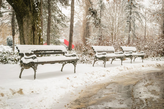 Park covered with snow