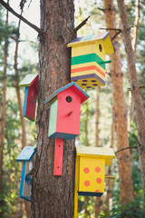 Birdhouses, the houses for bird. Decorated and ornamented. Birdhouse for our little friends for food on the tree