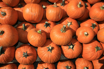 Pumpkins