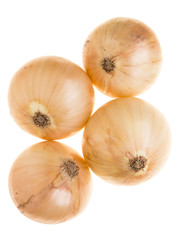 four array onion