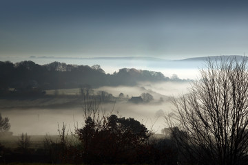 Obraz premium Shaftesbury winter fog