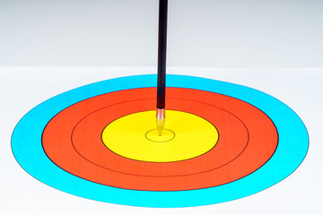 Carbon arrow point in the center of the target