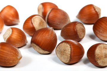 Hazelnuts on White Background