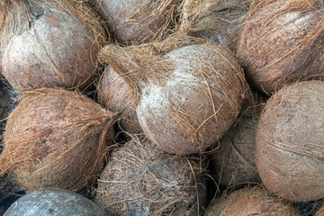 Dry coconut for produce coconut milk at the market.
