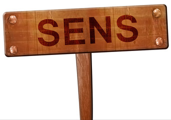 sens road sign, 3D rendering © Argus