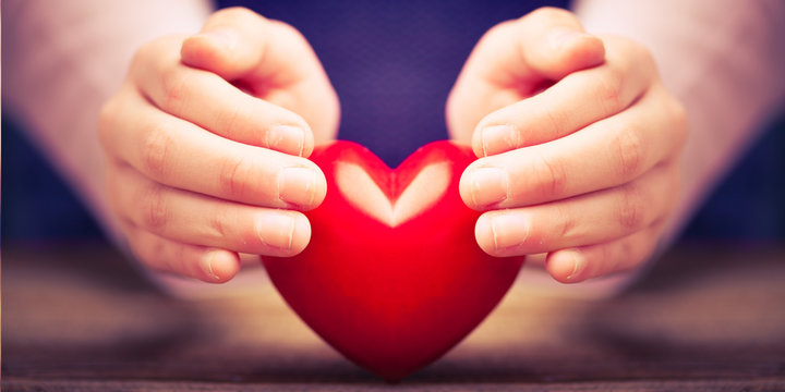 hands protect a heart