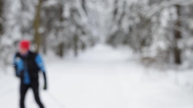 Blurry background of the winter forest.