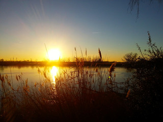 Obraz premium Sonne im Winter - Sonnenuntergang am See in der Natur