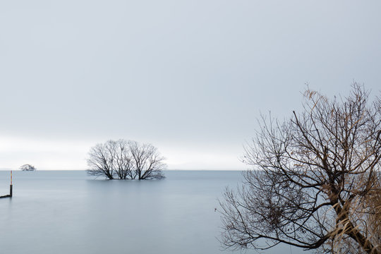 水上樹 Images Browse 8 Stock Photos Vectors And Video Adobe Stock 水上樹 Images Browse 8 Stock Photos Vectors And Video Adobe Stock