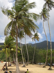 Maracas, Trinidad