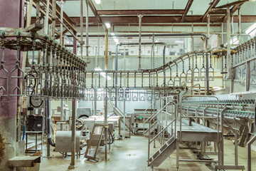 Room for butchering slaughterhouse poultry factory. Poultry processing plant line. Production of...