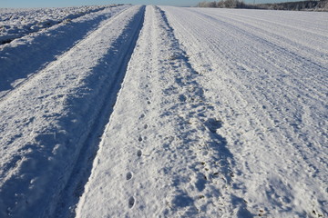 Spuren im Schnee