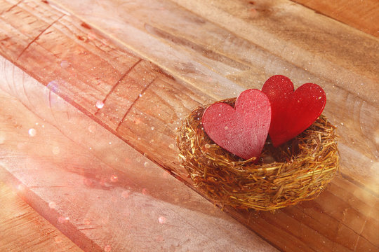 Couple of red hearts in the bird nest