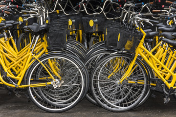 many yellow bicycles in parking