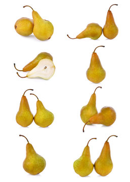 European Pear