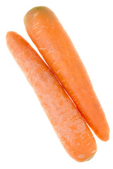two orange carrots