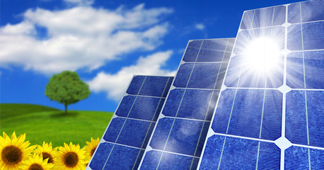 Solar Panels - Sunflowers