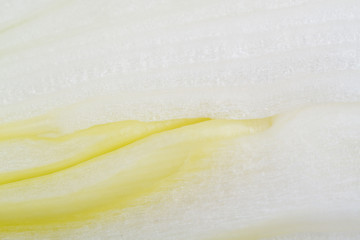 texture bulb onions close up