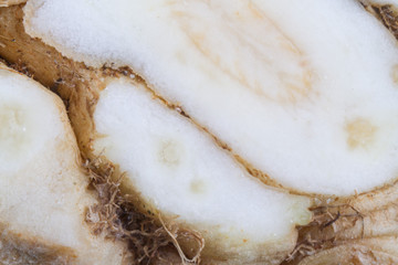 texture celery chopped