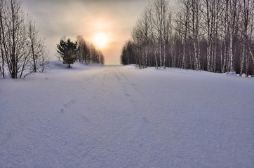 Winter snowy landscape at sunset