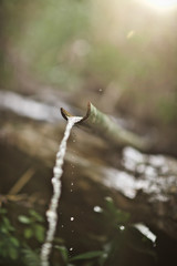 Bamboo water fountain on a blurred background. (vintage style)