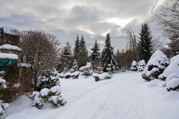 beautiful winter garden covered by snow