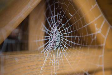Frosty spider web in barn