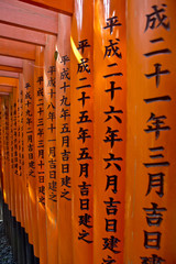 The path of Fushimi Inari Taisha