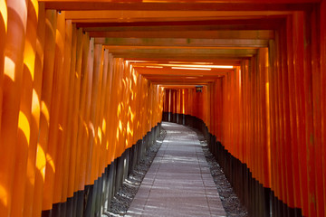 Fototapeta premium The path of Fushimi Inari Taisha