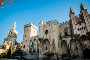 Le Palais des Papes d'Avignon et la Cathédrale Notre-Dame-des-Doms