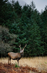 sunset over a tropical ocean